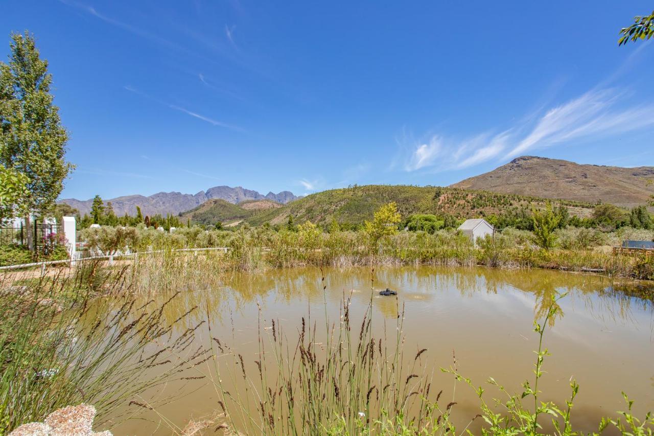 Droom Guesthouse Franschhoek Eksteriør billede
