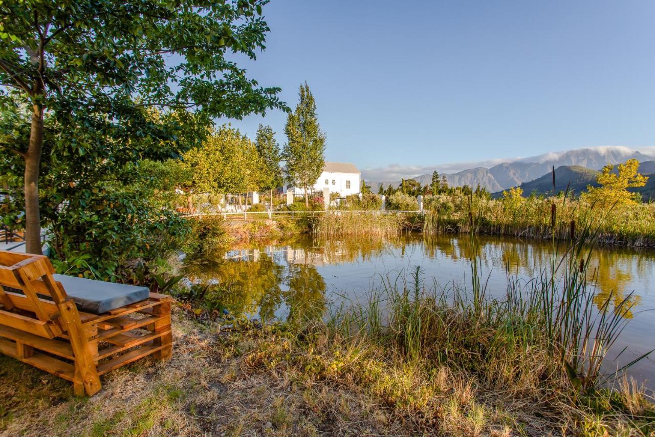 Droom Guesthouse Franschhoek Eksteriør billede