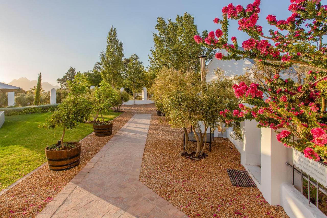 Droom Guesthouse Franschhoek Eksteriør billede