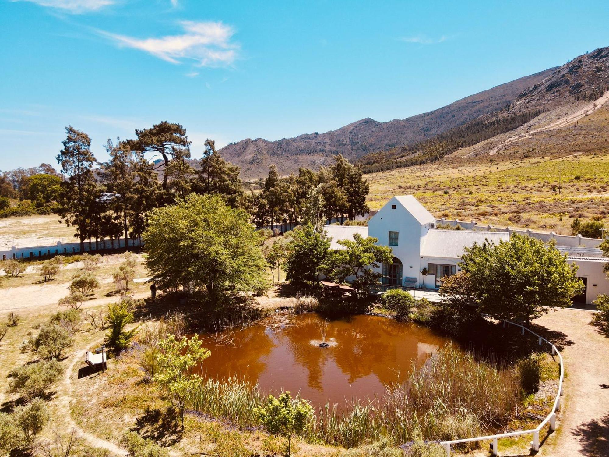 Droom Guesthouse Franschhoek Eksteriør billede