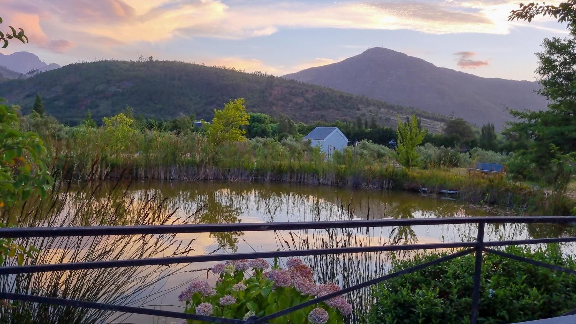 Droom Guesthouse Franschhoek Eksteriør billede